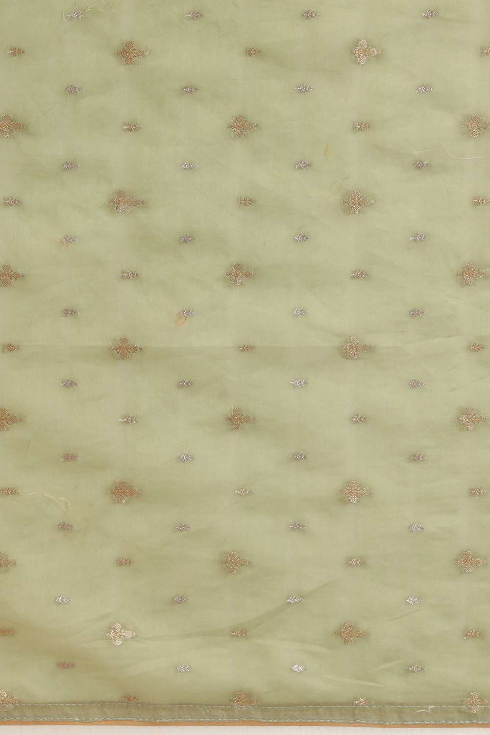 Pistachio Contemporary Pure Silk Organza Embroidery Saree image number null