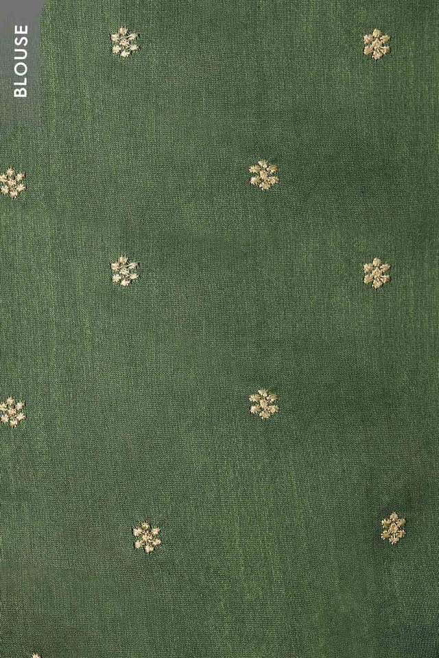 Light Green Pure Silk Organza Embroidered Saree thumbnail image number null